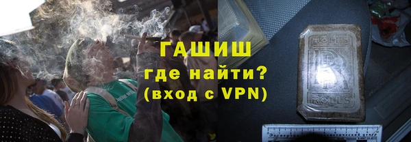 гашик Алексин