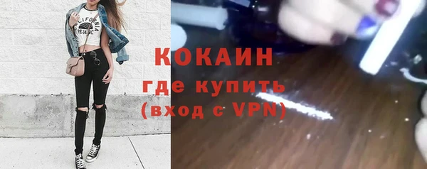 гашик Алексин