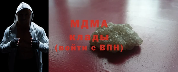 гашик Алексин