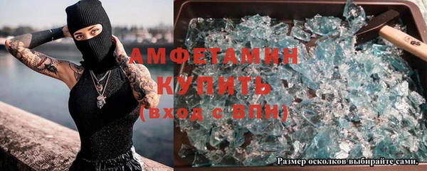 гашик Алексин