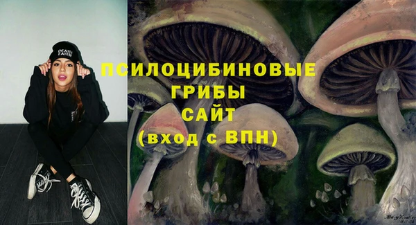 гашик Алексин