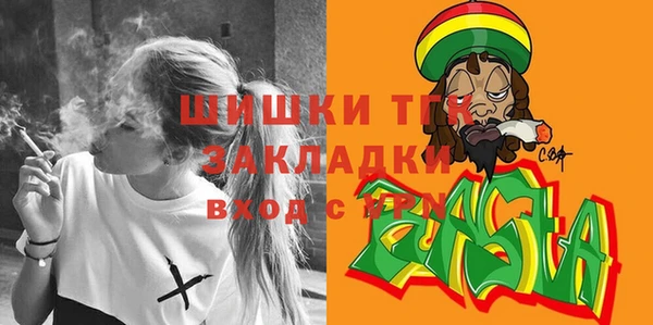 гашик Алексин