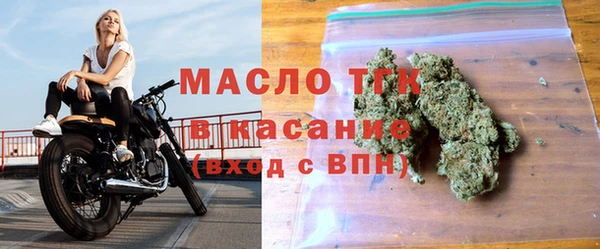 гашик Алексин