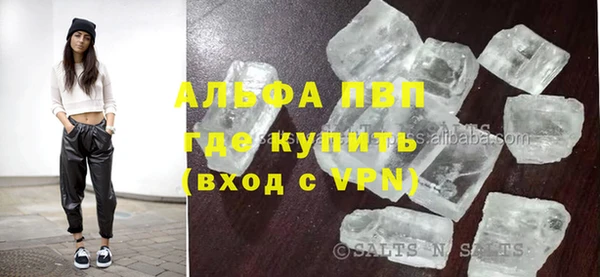 гашик Алексин