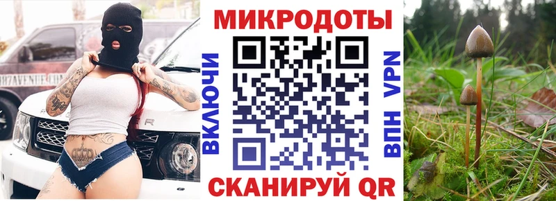 MEGA зеркало  Углич  Псилоцибиновые грибы MAGIC MUSHROOMS  где купить наркоту 