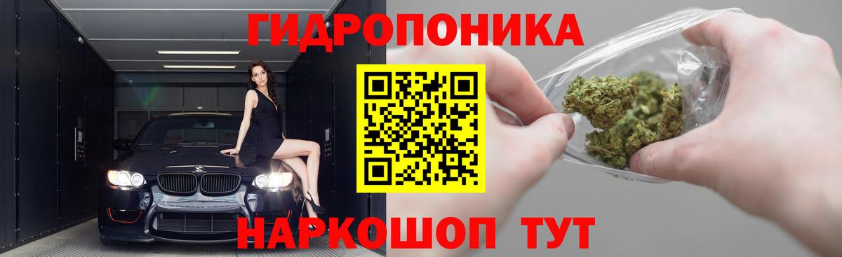 Бошки Шишки конопля Углич